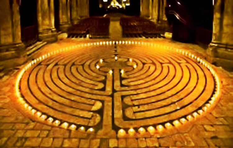 Chartres Rose