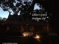 CHLOE'S GROVE™ Perfume Oil - Magnolia, Lily of the Valley, Olive Leaf, Spanish Moss, Patchouli, Spirit Accord - Halloween Perfume