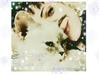 SNOW ANGELS™ Perfume Oil - Special Edition 2017 Christmas Perfume - Winter Fragrance - Artisan Perfume Oil