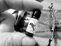 CHRISTMAS VISIONS™ Perfume Sample Set-  Set of 5 Sample Vials, Christmas Perfume - Winter Perfume — half dram (2ml) vials