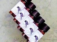 CHRISTMAS VISIONS™ Perfume Sample Set-  Set of 5 Sample Vials, Christmas Perfume - Winter Perfume — half dram (2ml) vials