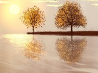 TWILIGHT LAKE WALK™ Perfume Oil — Spring Fragrance — willow, wormwood, amber, lingonberry