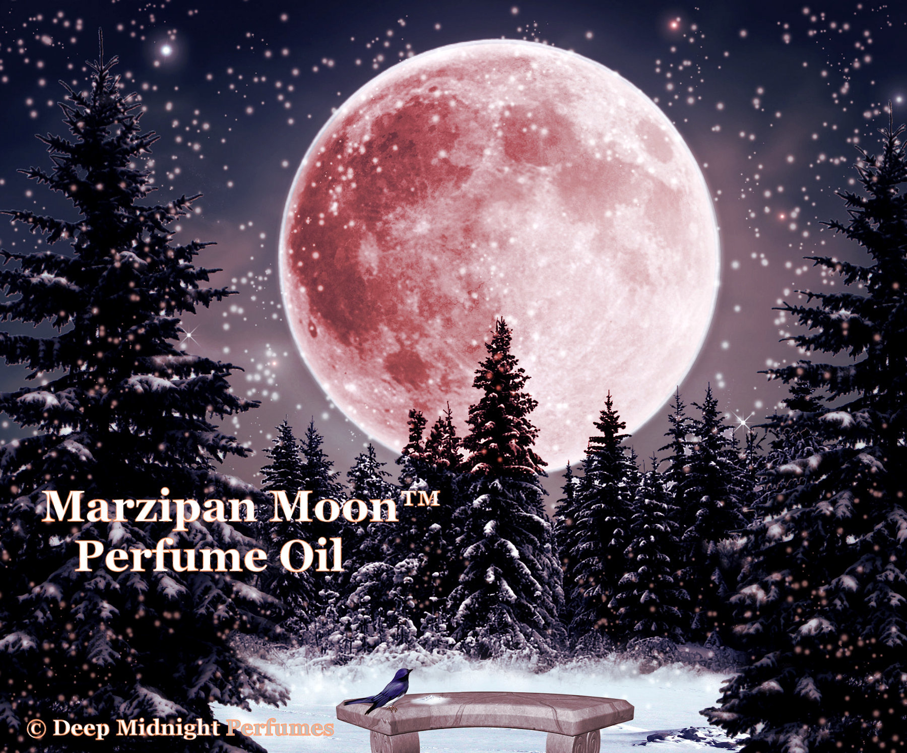 MARZIPAN MOON™ Perfume Oil - Marzipan Almond, Blood Orange, Dragon’s Blood, Arctic Berries, Fruits - Winter Perfume - Christmas Perfume