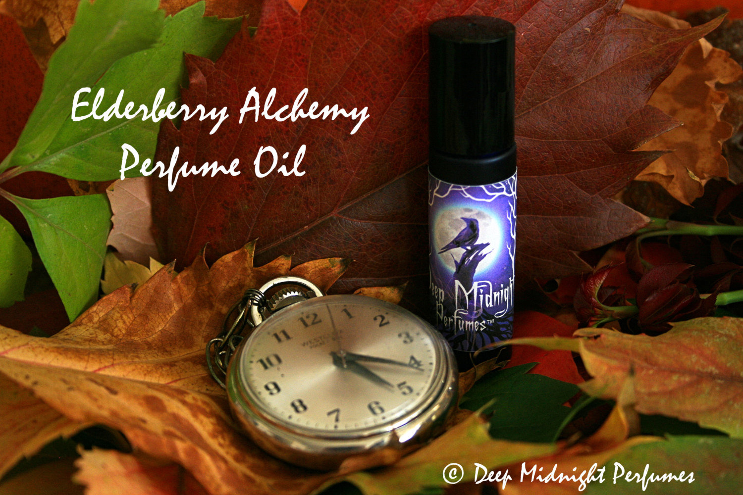 an aesthetic life パフューム MIDNIGHT REMEDY Elderberry Alchemy™ Perfume Oil - Elderberries, Twigs and Leaves