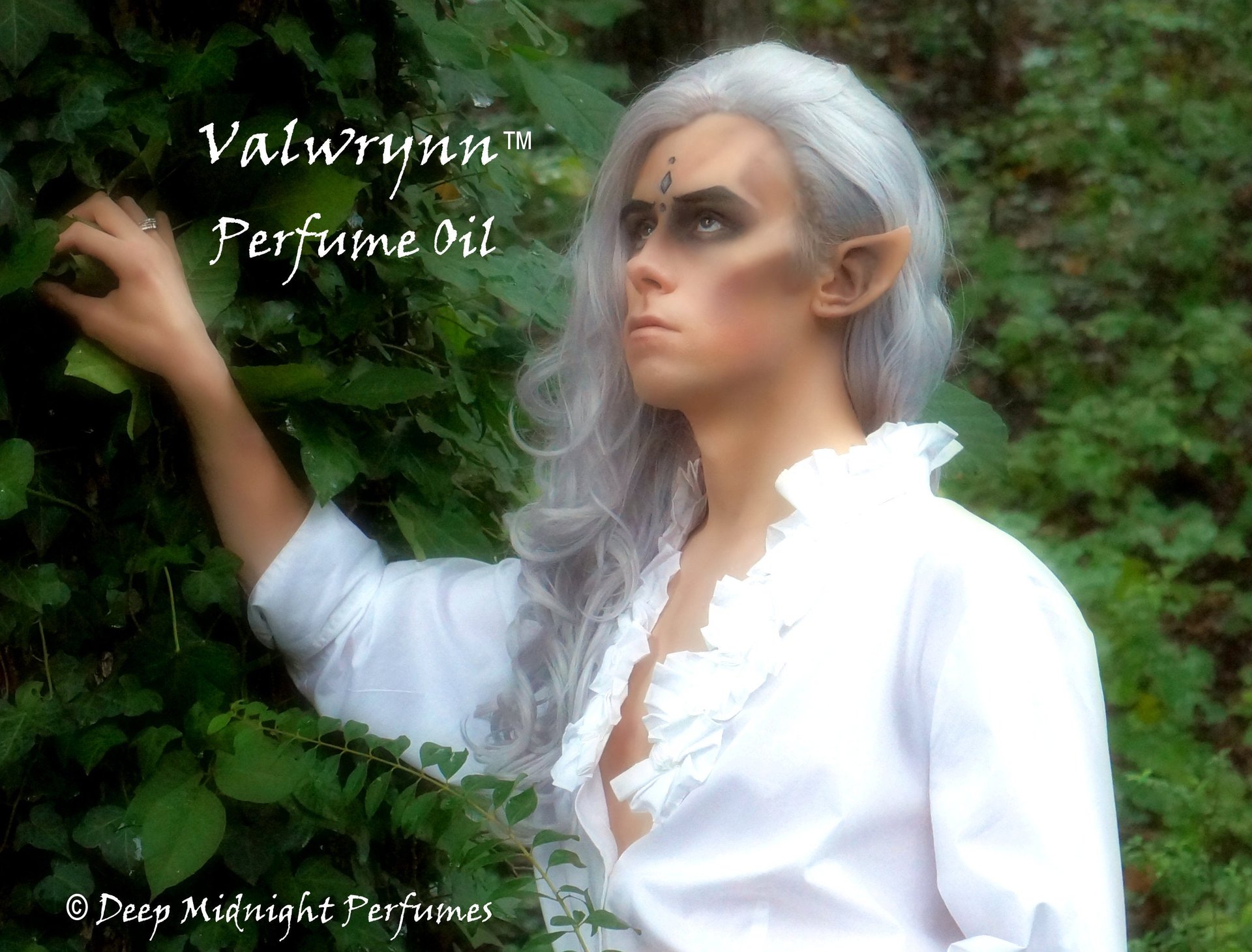 VALWRYNN™ Perfume Oil - Forest Ferns, Oakmoss, Pine Needles, Citrus, Woods, Spices - Fantasy Perfume - Realms of the Fae Folk™ Perfume