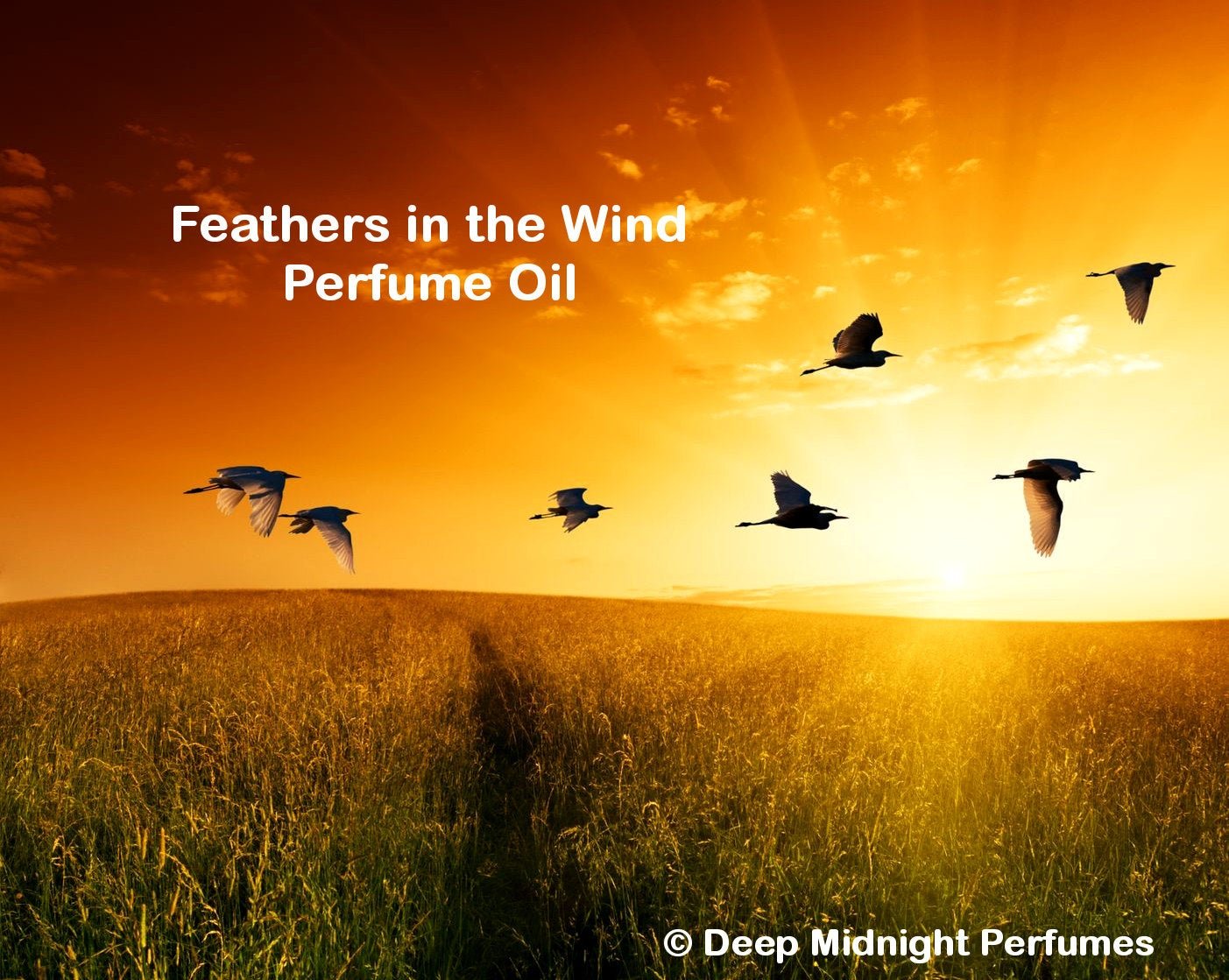FEATHERS IN THE WIND™ Perfume Oil - Wildflowers, Warm Spices, Myrrh, Woods, Musk, Dark Resins, Rain, Ozone -The Walking Dead Inspired