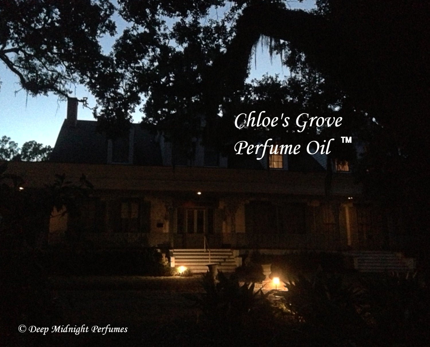 CHLOE'S GROVE™ Perfume Oil - Magnolia, Lily of the Valley, Olive Leaf, Spanish Moss, Patchouli, Spirit Accord - Halloween Perfume