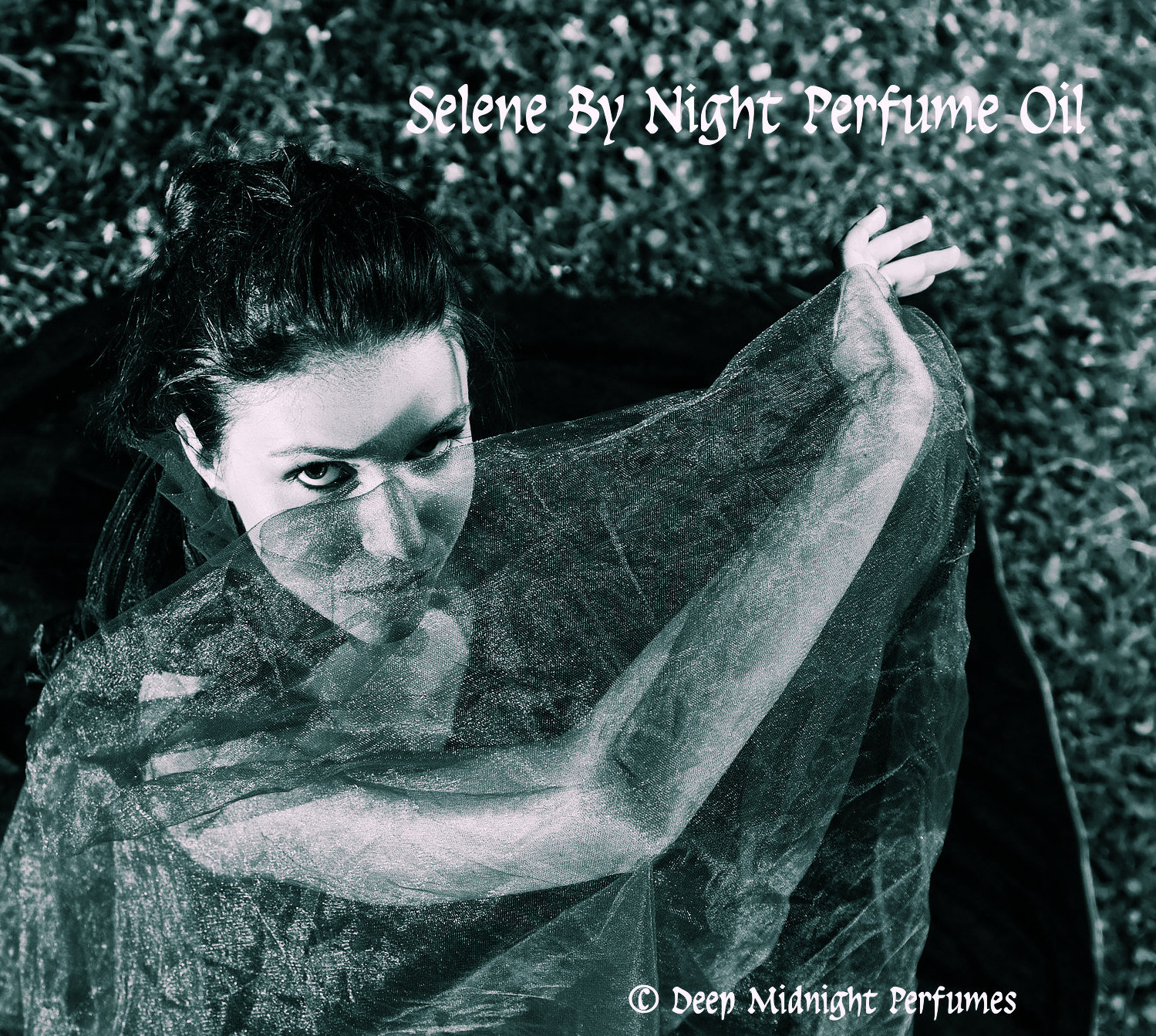 SELENE By NIGHT Perfume Oil - Orchids, Cypress, Dragon's Blood, Woods - GOTHIC perfume - Underworld, Dracula, Vampire Perfume