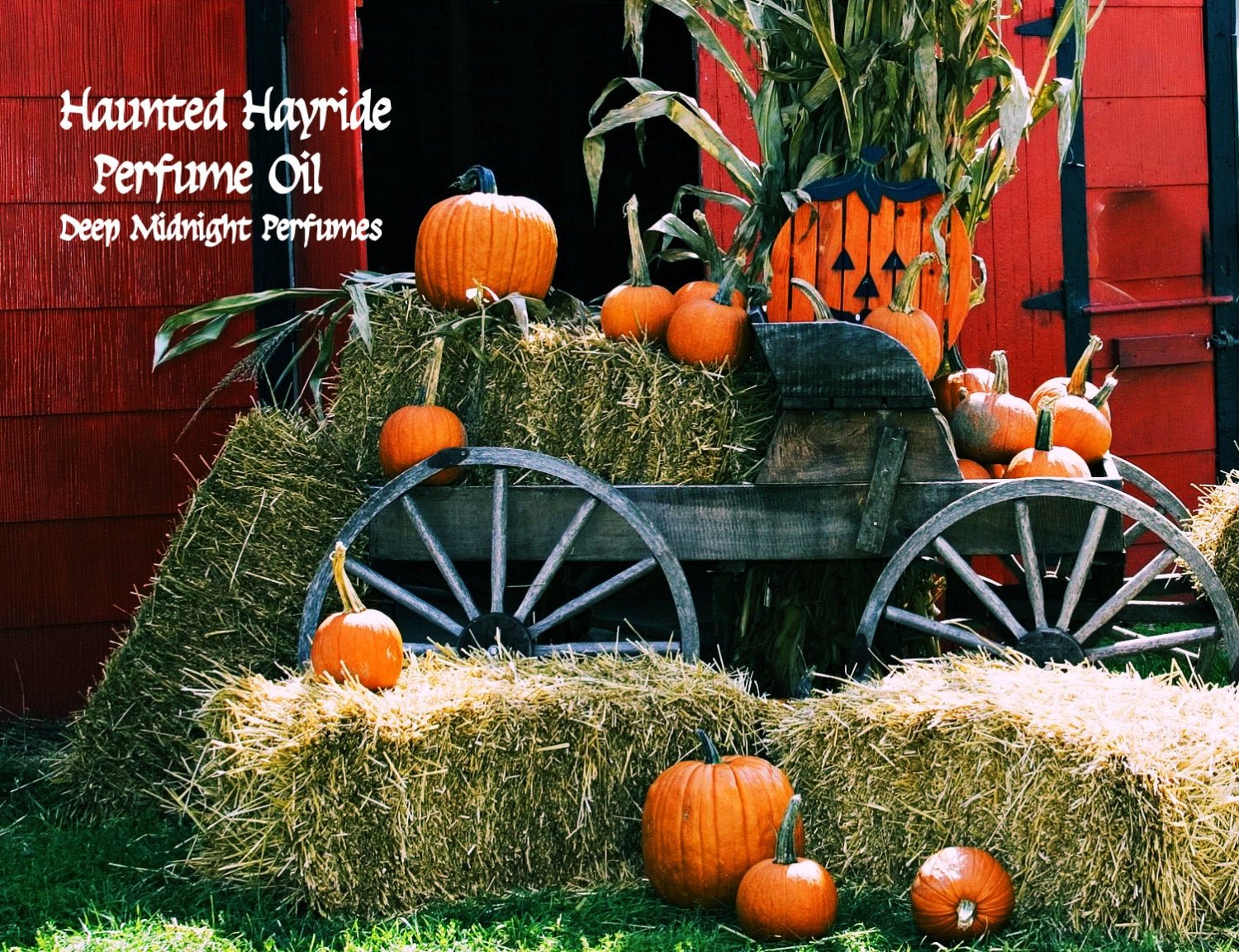HAUNTED HAYRIDE™ Perfume Oil - Pumpkins, Roasted Marshmallows, Candy, Soft Hay, Frankincense - Gothic Perfume - Halloween Perfume