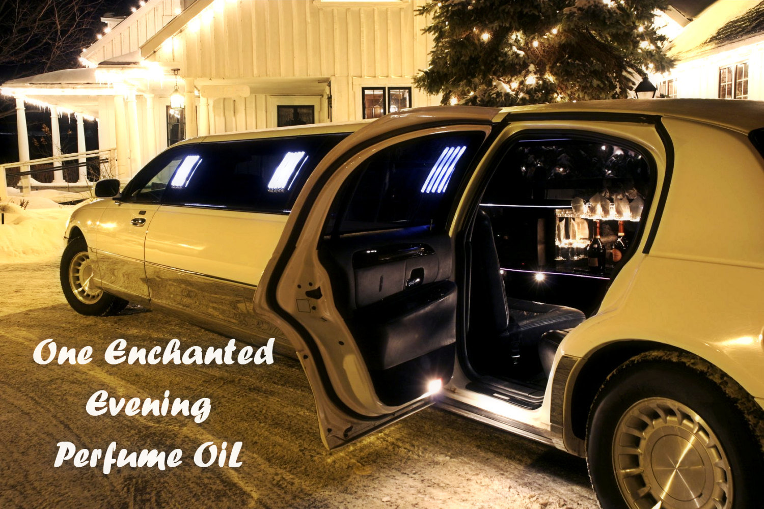 One Enchanted Evening Perfume Oil: Warm leather, musk, spices, madagascar vanilla