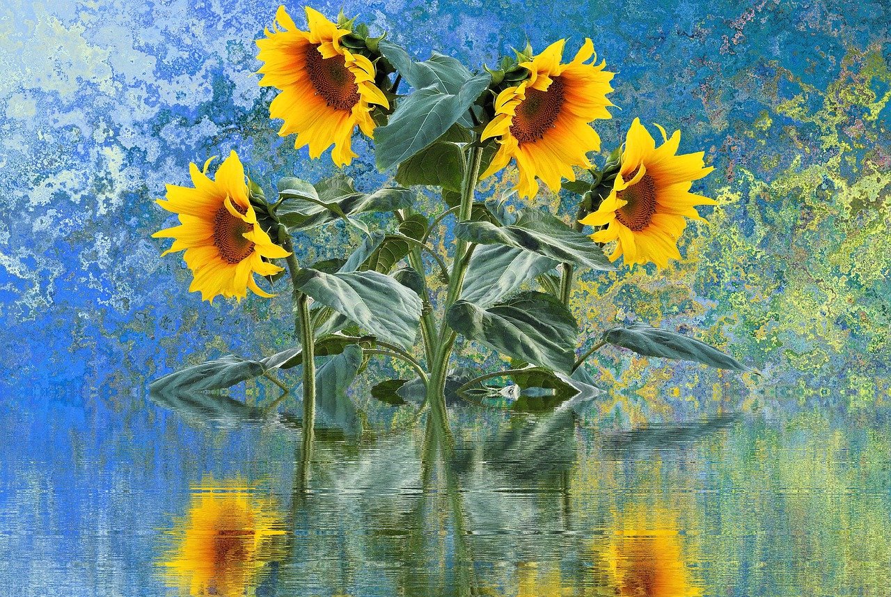 Perfum sunflowers new arrivals