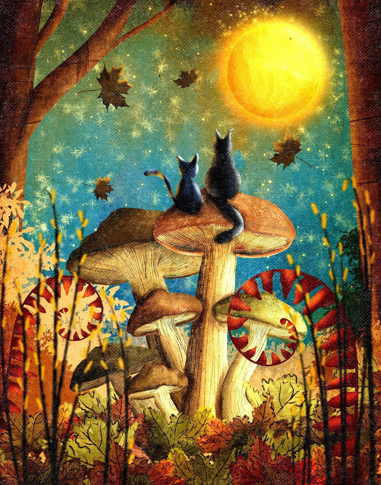 On the Practices of Cats & Their Witches™ — 5 sample vials — Halloween Perfume Sample Set