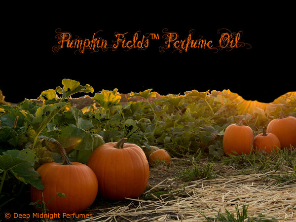 PUMPKIN FIELDS™ Perfume Oil - Vetiver, Vines, Artemisia, Fresh Pumpkin, Birch Wood, Spice - Halloween Perfume - Pumpkin Perfume - Fall Scent