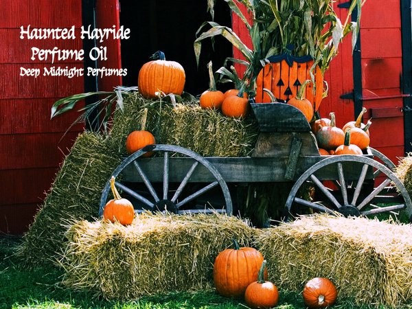 HAUNTED HAYRIDE™ Perfume Oil - Pumpkins, Roasted Marshmallows, Candy, Soft Hay, Frankincense - Gothic Perfume - Halloween Perfume