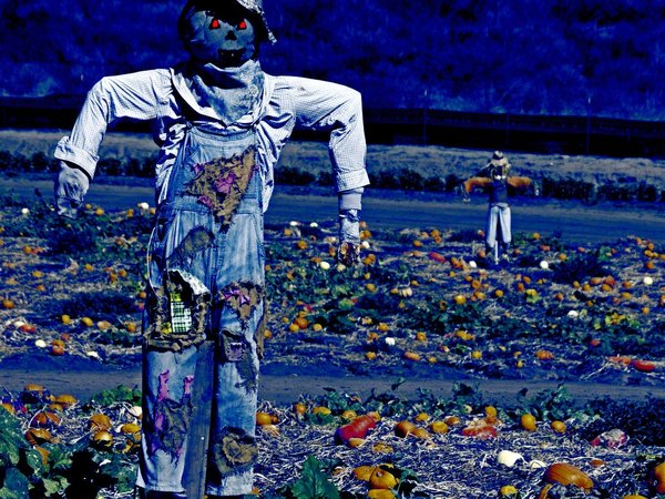 Scarecrow Crossing™ Perfume Oil - Acorns, Hay, Leaves, Soil, Licorice, and Dark, Strange Places - Halloween Perfume - Gothic Perfume