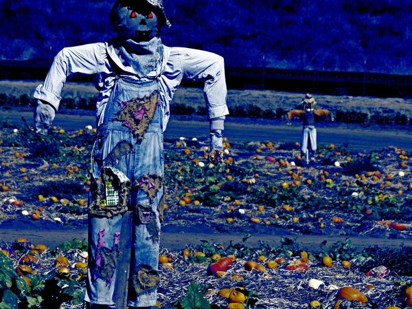 Scarecrow Crossing™ Perfume Oil - Acorns, Hay, Leaves, Soil, Licorice, and Dark, Strange Places - Halloween Perfume - Gothic Perfume