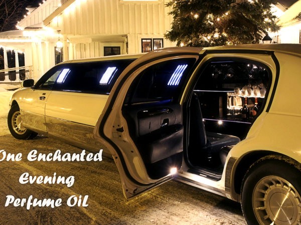 One Enchanted Evening Perfume Oil: Warm leather, musk, spices, madagascar vanilla