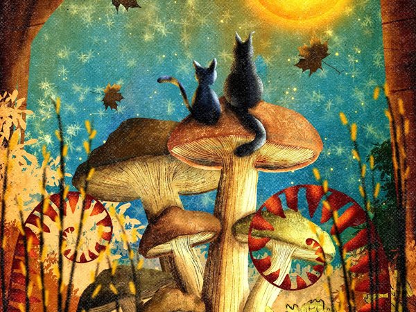 On the Practices of Cats & Their Witches™ — 5 sample vials — Halloween Perfume Sample Set