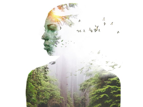 Sleepers Song™ — Perfume Oil — Cat's Lost Scents — Christmas Perfume 
