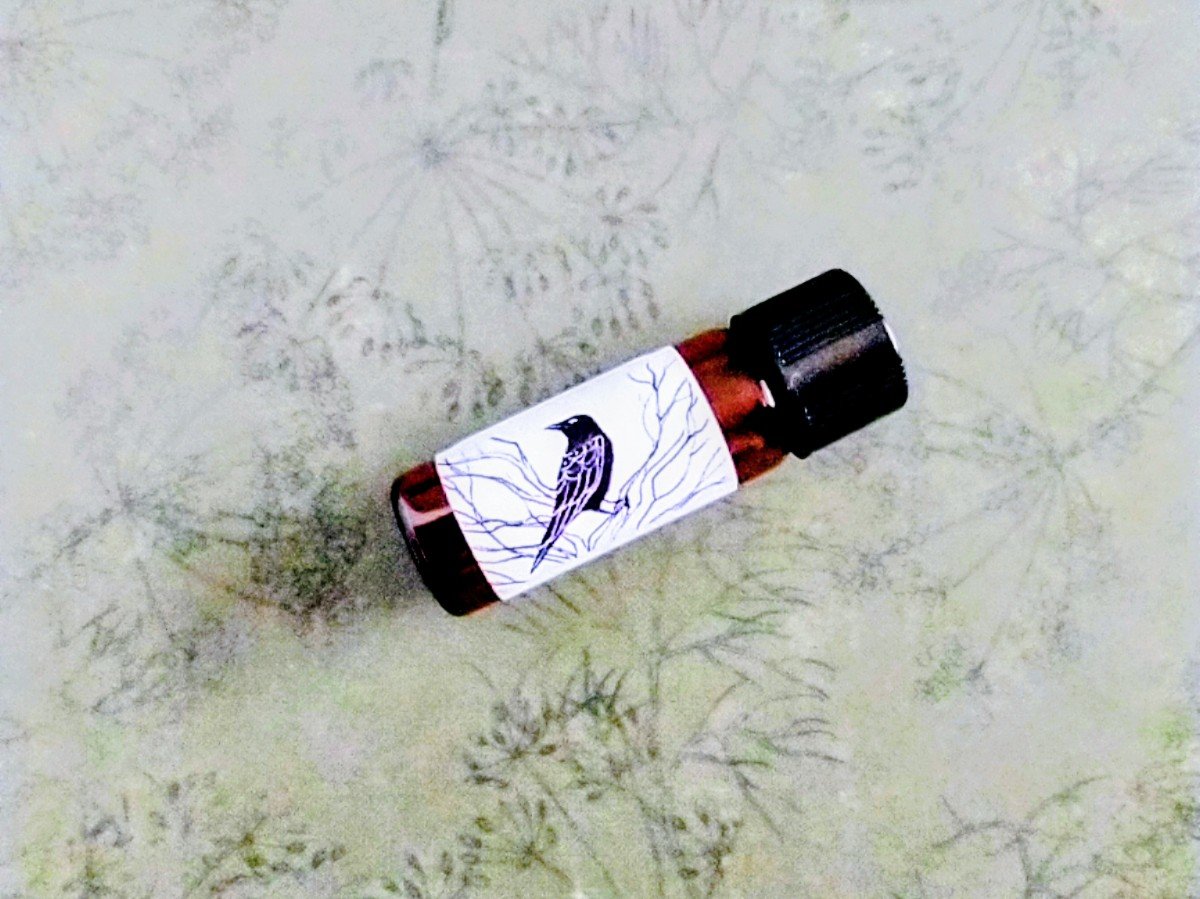 A Toast to the Holidays™ Perfume Sampler Set - Christmas Perfume - Perfume Sample Set of Five Vials - Holiday Perfume — half dram (2ml) vials